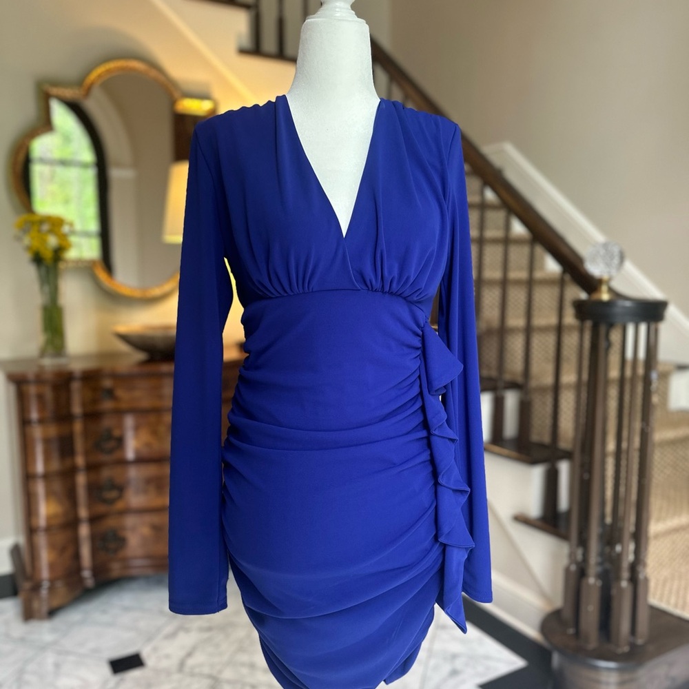 Zara Draped Ruffle Long Sleeve Dress
